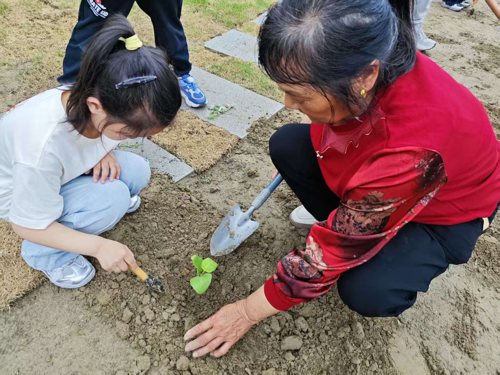 5月25日，崇川区幸福街道关工委举办了“五老传技艺，童心育新苗”主题活动。（幸福街道关工委）.jpg